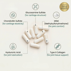 Glucosamine Joint Complex (1,500mg)